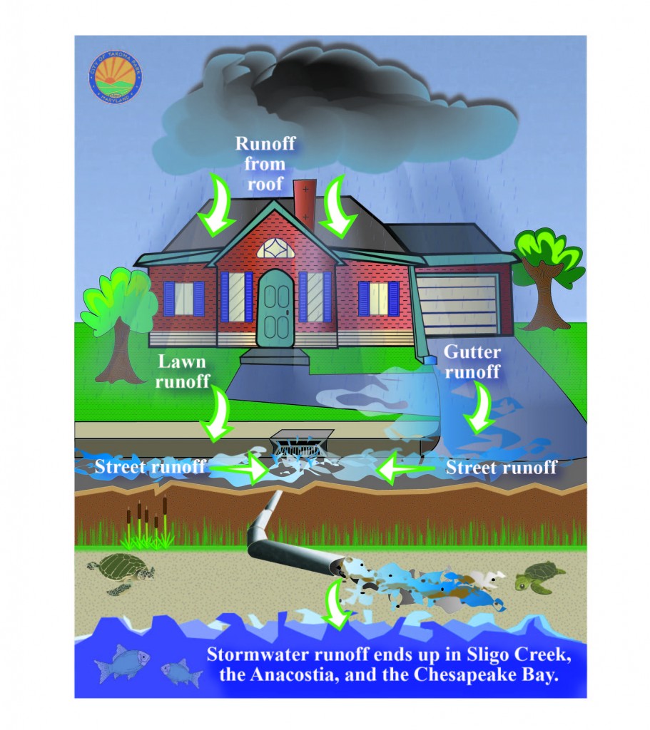 Stormwater infographic